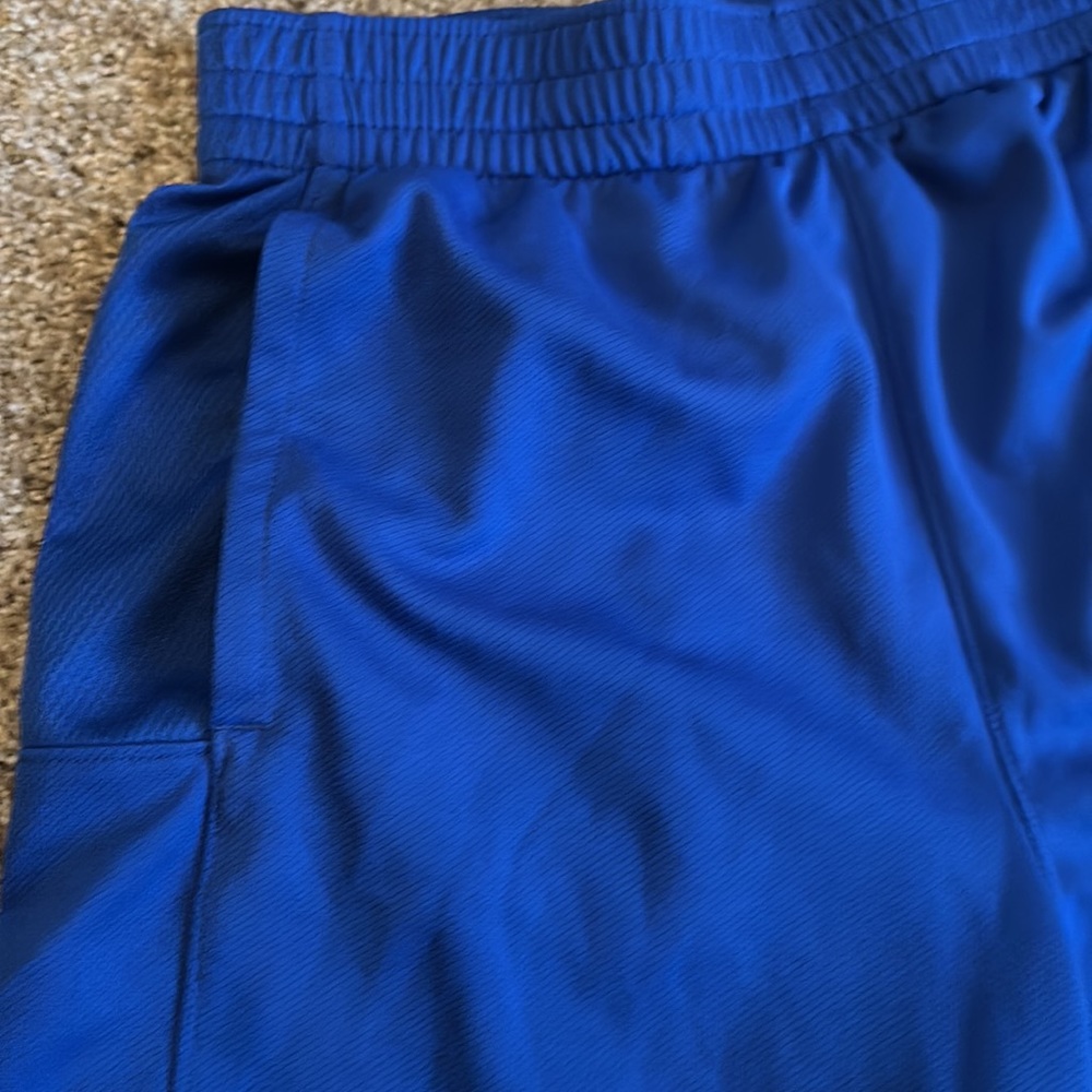 Nike Dri-Fit Logo Shorts - Picture 2 of 2